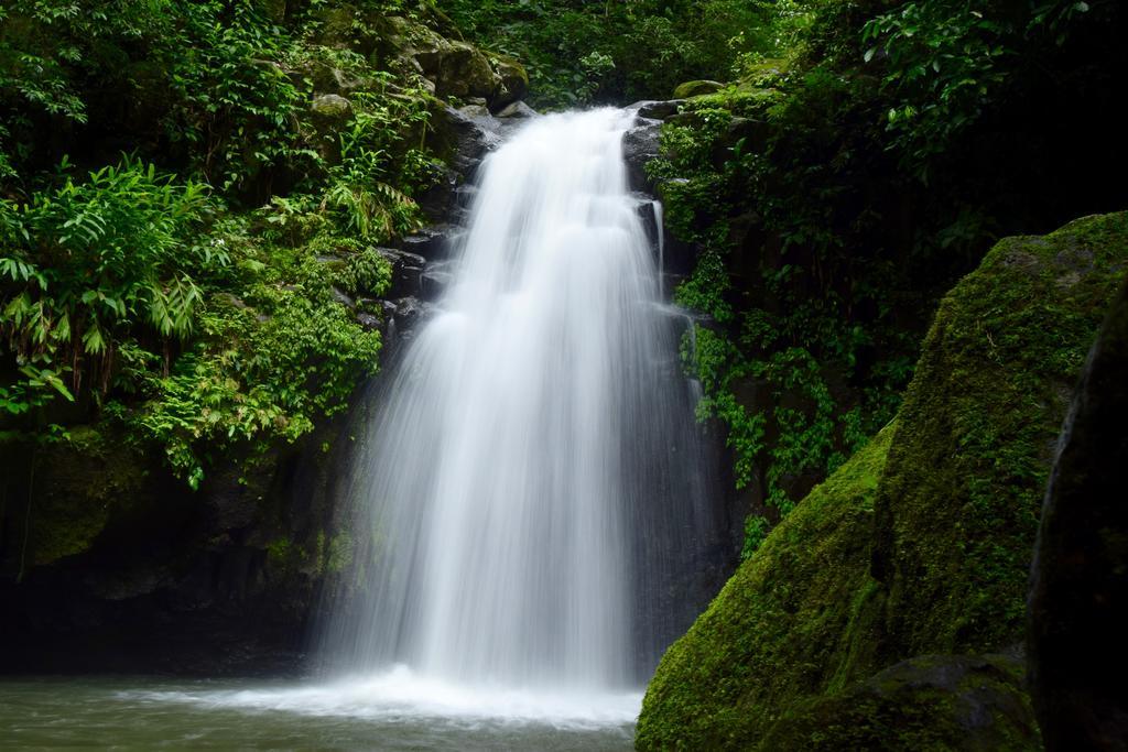 Centro Ecoturistico Cabanas Encantadas Villa Catemaco Dış mekan fotoğraf