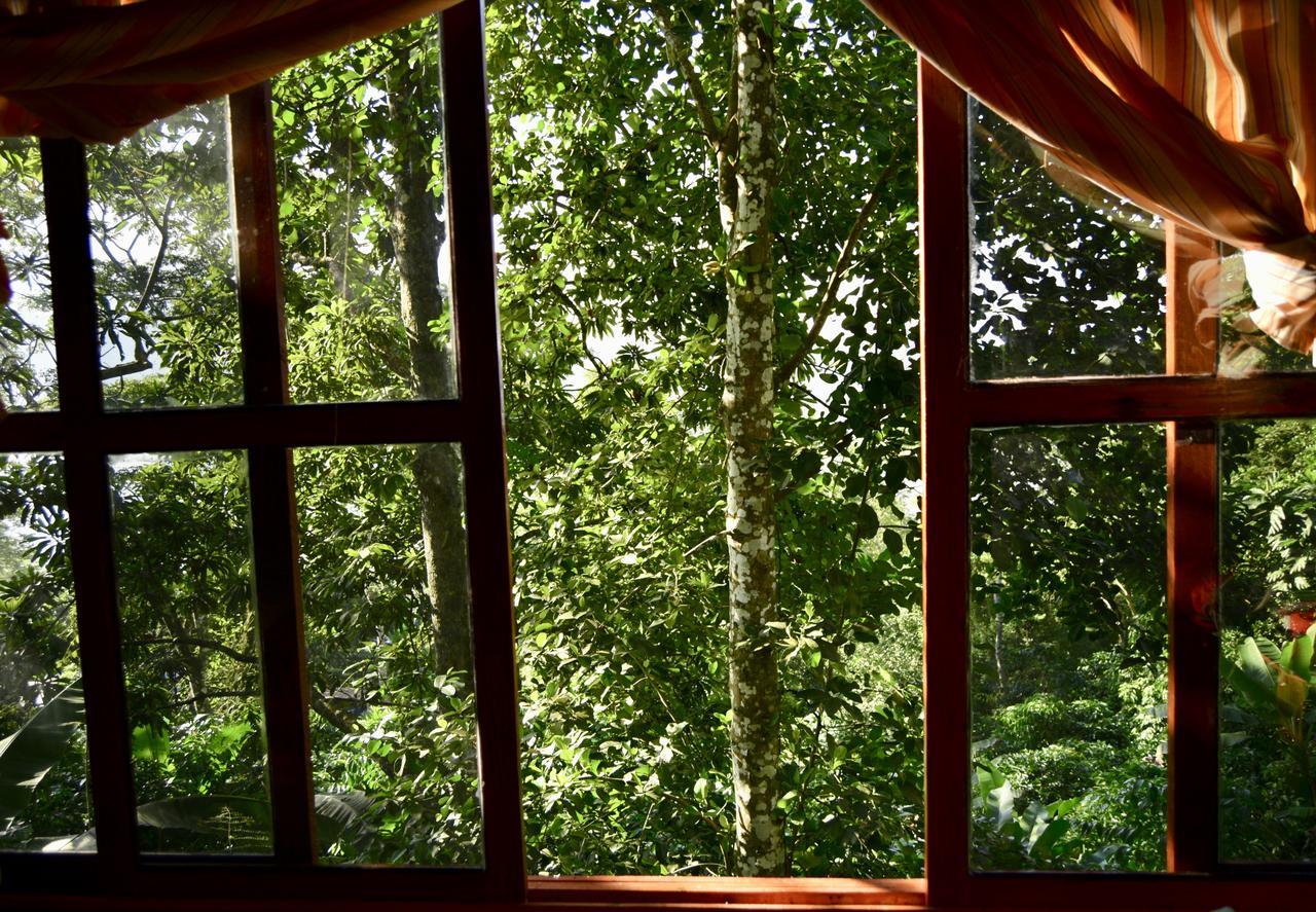 Centro Ecoturistico Cabanas Encantadas Villa Catemaco Dış mekan fotoğraf