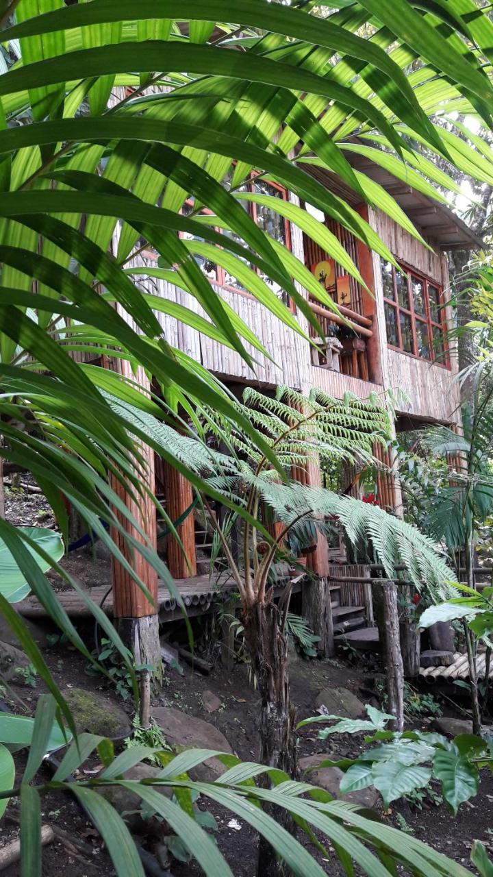 Centro Ecoturistico Cabanas Encantadas Villa Catemaco Dış mekan fotoğraf